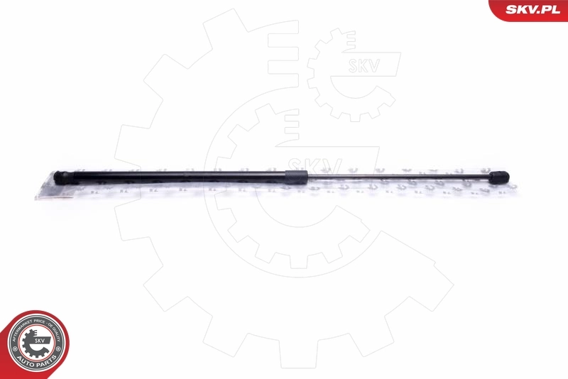 Gas Spring, boot/cargo area